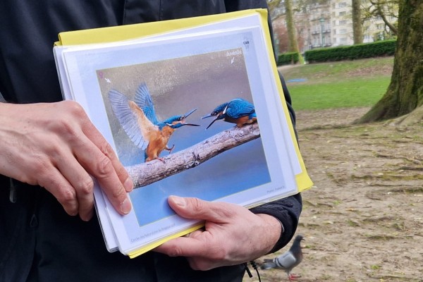 Journées Portes ouvertes : La ville des oiseaux